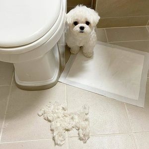 Meet your Posher, Liv